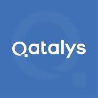 qatalys logo image