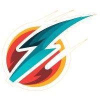 full velocity marketing logo image