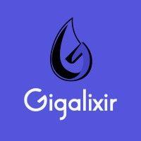 gigalixir logo image