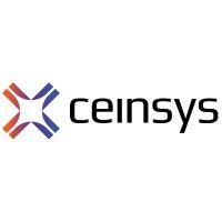 ceinsys tech limited