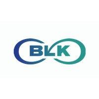 the blk foundation logo image