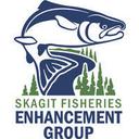 logo of Skagit Fisheries Enhancement Group