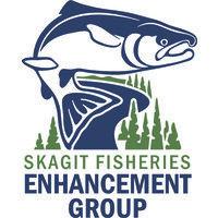 skagit fisheries enhancement group