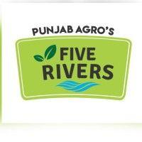 punjab agri export corporation ltd logo image