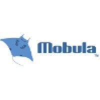 mobula inc. logo image