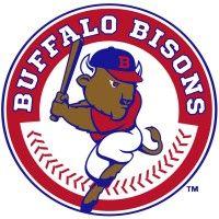 buffalo bisons logo image