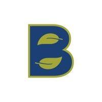 brandywine homes logo image