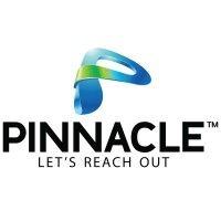 pinnacle teleservices pvt ltd logo image