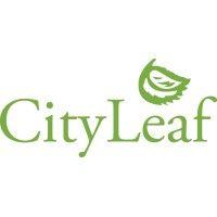 cityleaf logo image