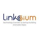 logo of Linksium