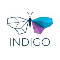 indigo innovations inc logo image