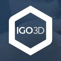 igo3d gmbh logo image