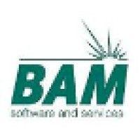 bam software logo image