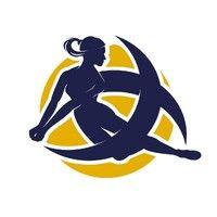 bordeaux mérignac volley - les burdis logo image