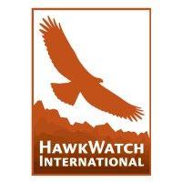 hawkwatch international logo image