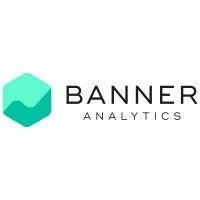 banner analytics, inc. logo image