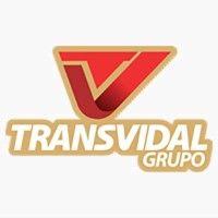 grupo transvidal logo image