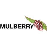 mulberry1 logo image