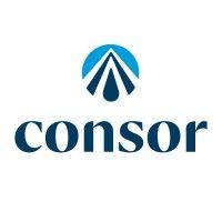 consor engineers logo image