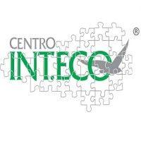 centro int.eco s.r.l. logo image