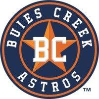 buies creek astros logo image