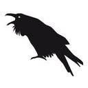 logo of Two Ravens