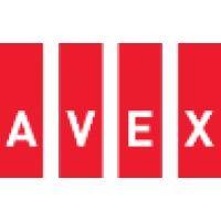 avex international logo image