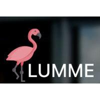 flumme logo image