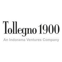 tollegno 1900 - an indorama ventures company logo image