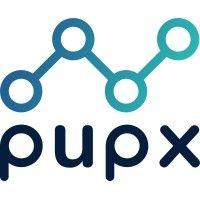 pupx analytics consulting logo image