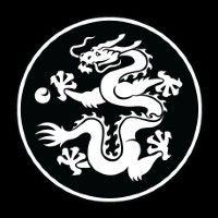 white dragon martial arts logo image