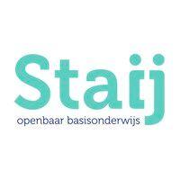 staij logo image