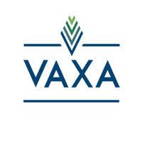 vaxa