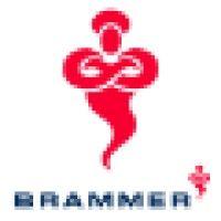 brammer group logo image