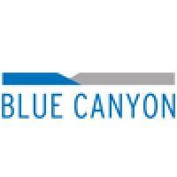 blue canyon partners, inc. logo image