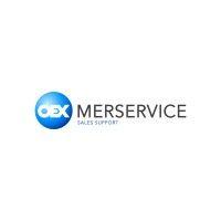 merservice sp. z o.o. logo image