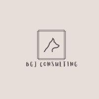 bgj consulting llc