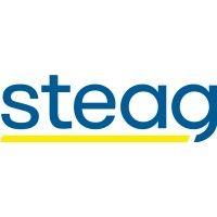 steag energy services (india) pvt. ltd logo image