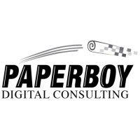 paperboy digital consulting logo image