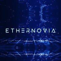 ethernovia logo image