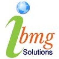 ibmg solutions, inc. logo image