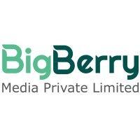 bigberry media private limited logo image