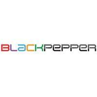 blackpepper infoservices pvt ltd logo image