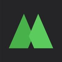 mint media logo image