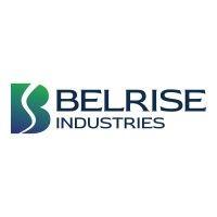 belrise industries (formerly badve engineering) logo image