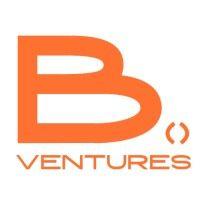 b ventures group logo image