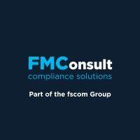 fmconsult logo image