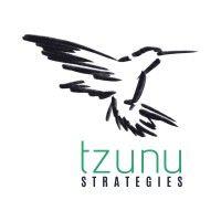 tzunu strategies logo image