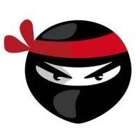 virtual ninjas logo image