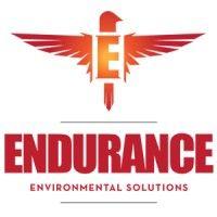 endurance environmental solutions logo image